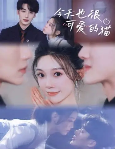 《今天也很可爱的猫》：治愈系萌宠电影，看小猫咪如何融化你的心！